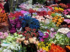 -双季花艺园艺市场(浦东店)