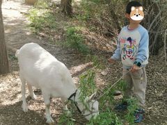 -北京第二实验小学(兰州分校)