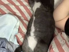-瑞派宠物医院·24h·骨外科·皮肤科·全科宠物医疗转诊中心(沈阳浑南院)