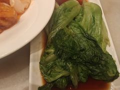 -金鼎轩(方庄天坛店)