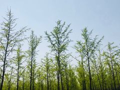 -汉景帝阳陵博物院