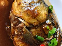 -壹生壹世·农家烤鱼