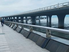 -演武大桥观景平台