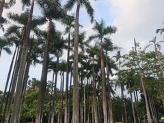 -南宁南湖公园
