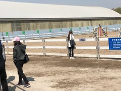 -月河湾马术俱乐部(朝阳店)