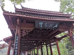 -重庆彩云湖湿地公园