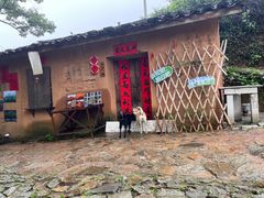 -杨家堂村