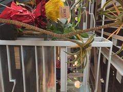 -湊湊火锅·茶憩(皇姑万象汇店)