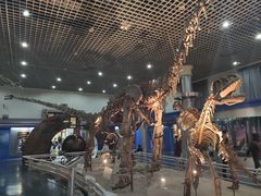 -国家自然博物馆