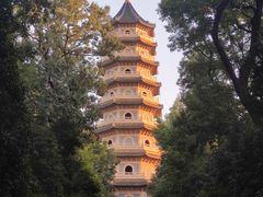 -灵谷景区