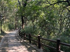 -苏州上方山国家森林公园