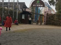 -金山农民画村-枫泾波兰倒置屋