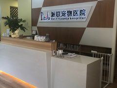 -派联宠物医院·24h·CT·异宠
