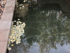 -郑州银基黄帝宫御温泉