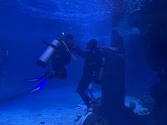 -石家庄海洋公园
