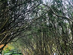 -黄兴公园