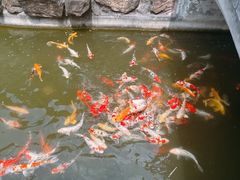-镇江中国醋文化博物馆