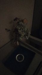 -奈瑞儿美颜美养SPA