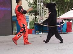 -南京银杏湖乐园