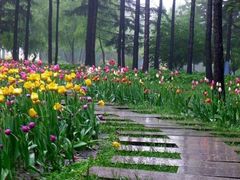 -白塘生态植物园