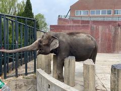 -大连森林动物园