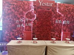 -Yestar艺星医疗美容医院