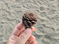 -杭州千岛湖开元度假村