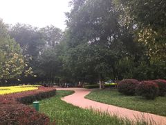 -天津市和平区西宁道清真寺