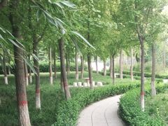 -赵州桥景区