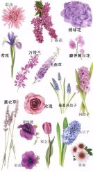 -红丝高端婚礼中心(旗舰店)