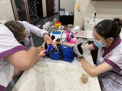 -宠爱国际动物医院·疑难骨科·心肾内科·皮肤科(太阳宫店)