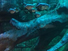 -沈阳海洋探索中心