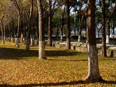 -东钱湖旅游度假区