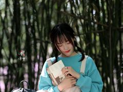 -宁波五龙潭景区