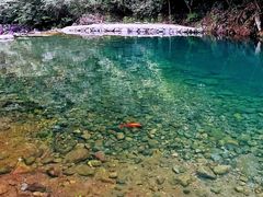 -白云源风景区