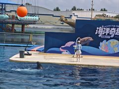 -秦皇岛乐岛海洋王国