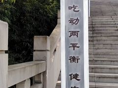 -铁山坪森林公园
