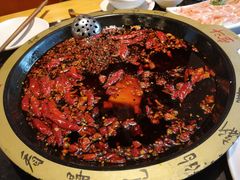 -一斗火锅·招财羊毛肚(北温泉九号店)