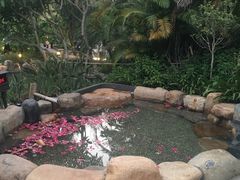 -厦门日月谷温泉渡假村