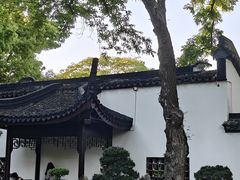 -上海醉白池公园