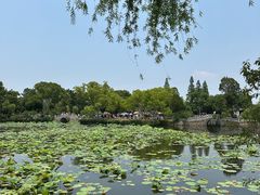 -无锡蠡湖国家湿地公园-蠡园