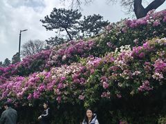 -红螺寺