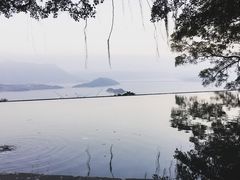 -大埔公路-马料水段香港中文大学(公交站)