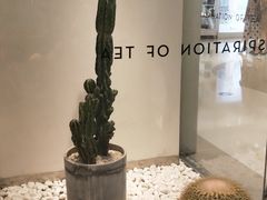 -喜茶(深圳东门1234店)
