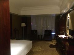 -合肥丰大国际大酒店