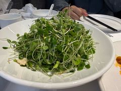 -正兴蜀园(科技园区店)