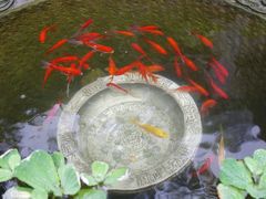 -亦缘居私家别院