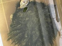 -灵龟之家百象馆(百象馆联合旗舰店)