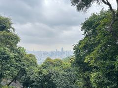 -广州市白云山风景名胜区