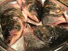 -肖肖酸萝卜鱼火锅(总店)